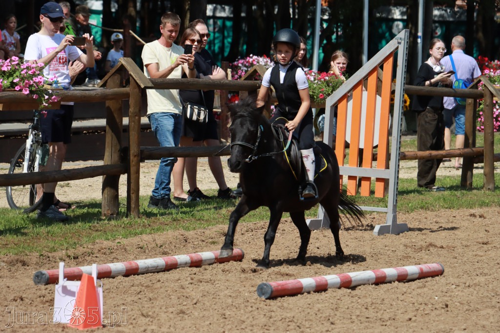 Fotorelacja V: Sprawnościowy Konkurs Jeździecki - Festiwal z Kopyta w Gniazdowie