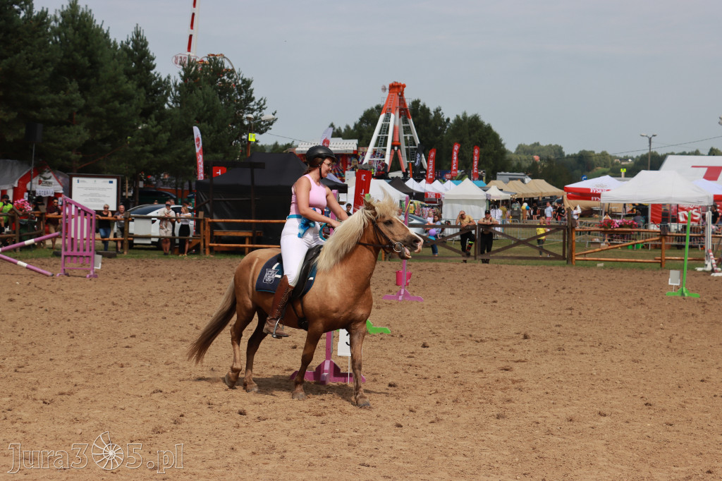 Fotorelacja XX: Sprawnościowy Konkurs Jeździecki - Festiwal z Kopyta w Gniazdowie