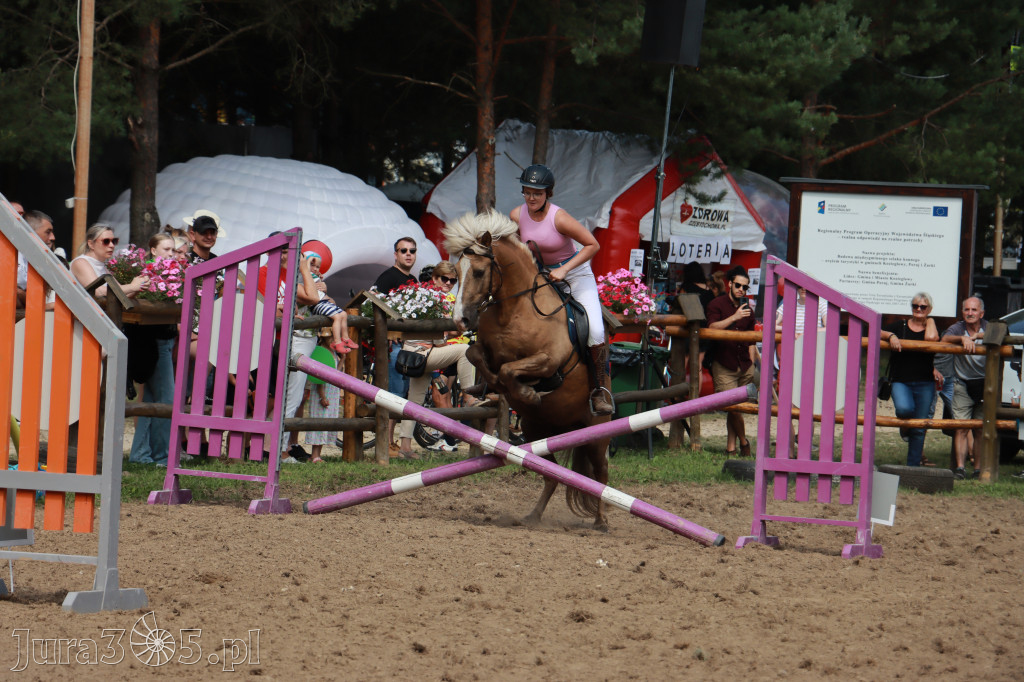 Fotorelacja XX: Sprawnościowy Konkurs Jeździecki - Festiwal z Kopyta w Gniazdowie