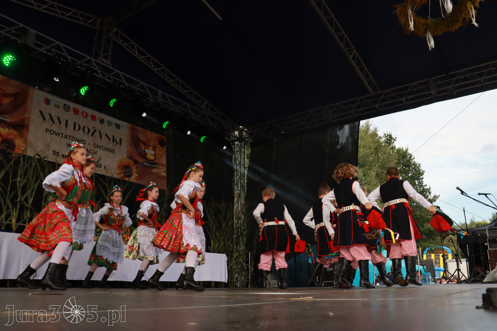 Fotorelacja II: XXVI Dożynki Powiatowo - Gminne w Łazach