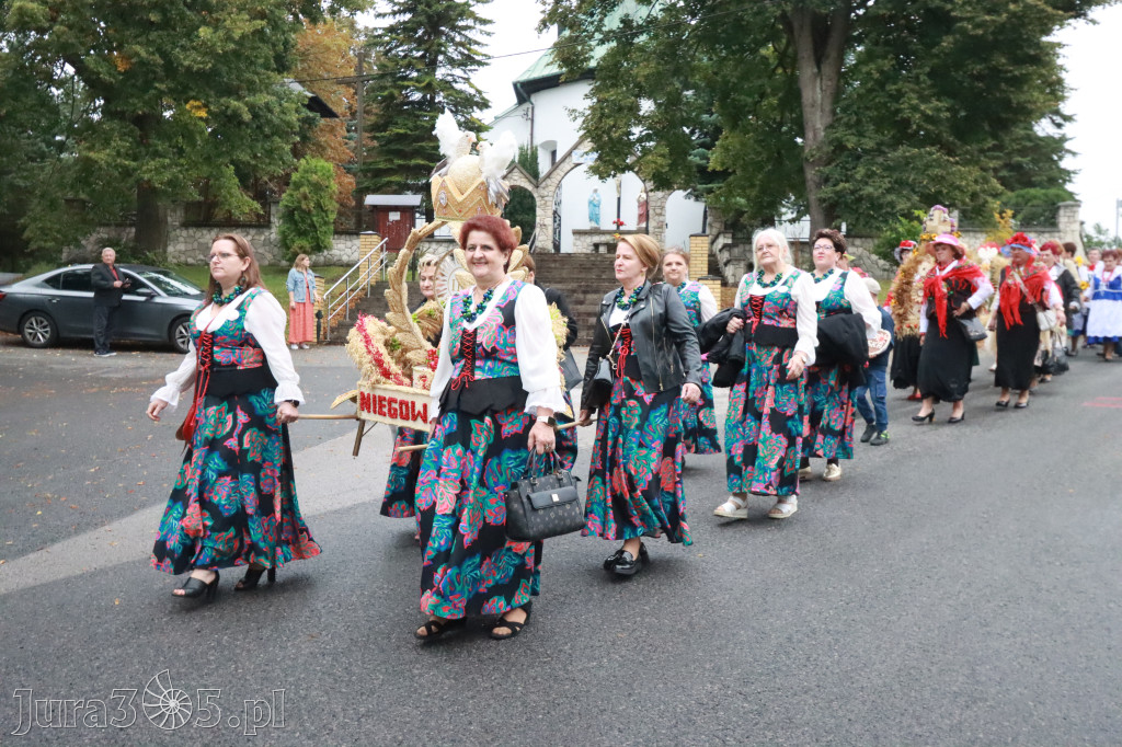 Fotorelacja I: Dożynki Powiatu Myszkowskiego w Niegowie