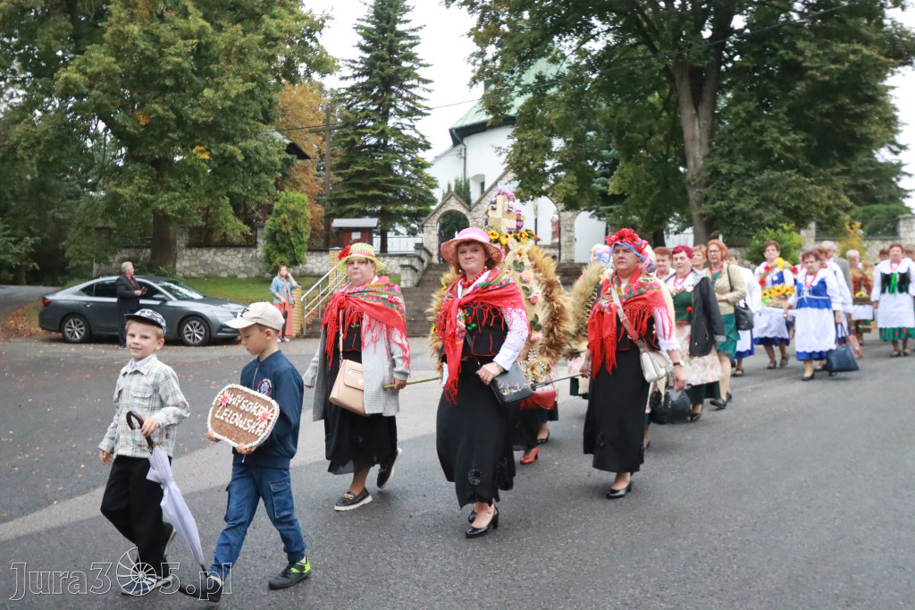 Fotorelacja I: Dożynki Powiatu Myszkowskiego w Niegowie