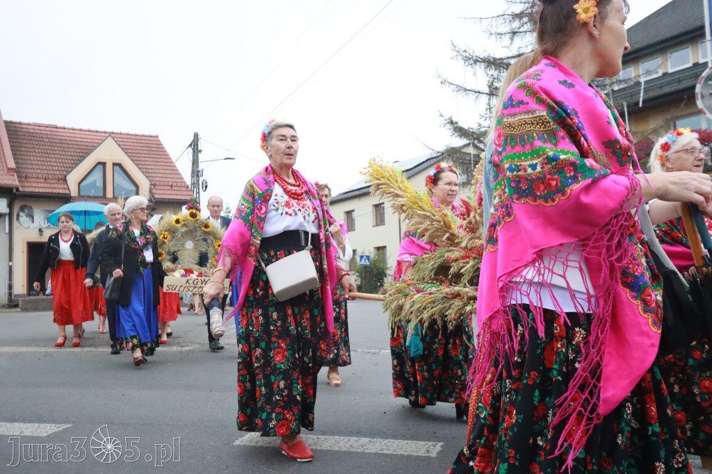 Fotorelacja I: Dożynki Powiatu Myszkowskiego w Niegowie