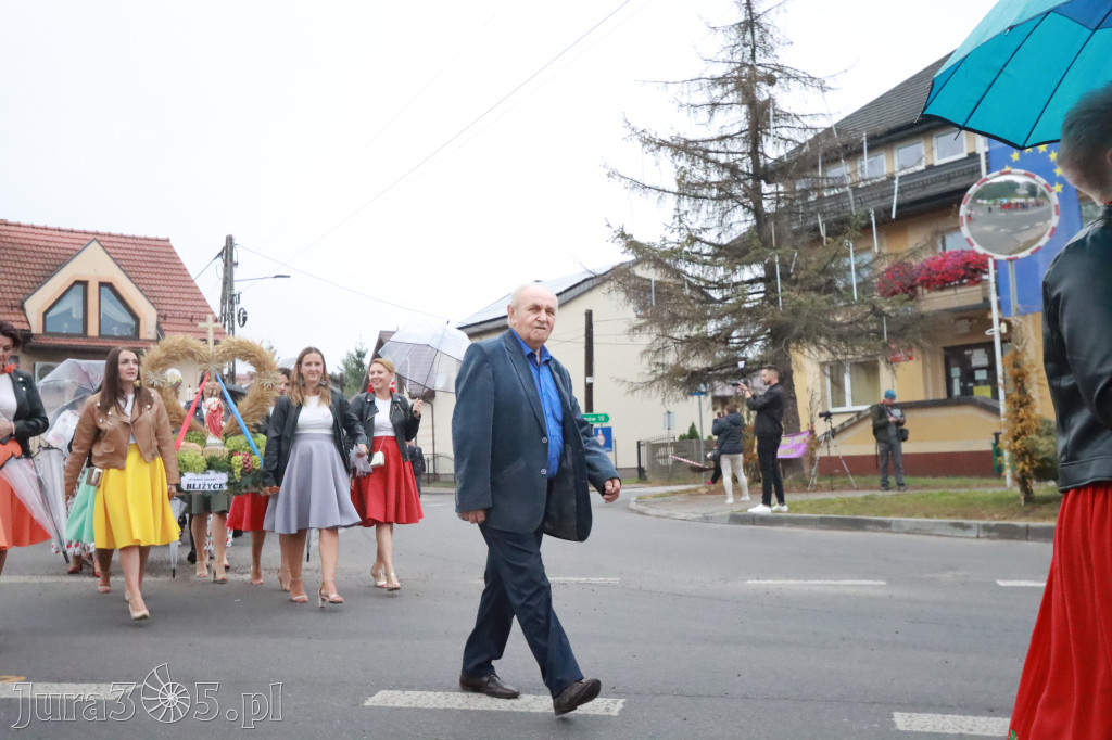 Fotorelacja I: Dożynki Powiatu Myszkowskiego w Niegowie
