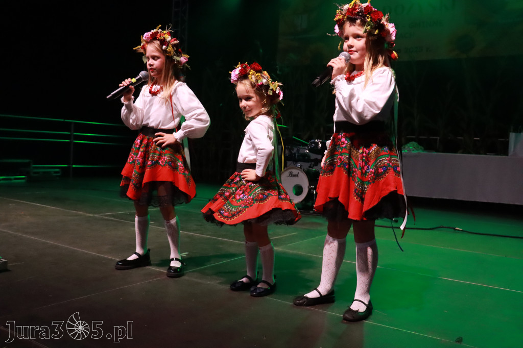 Fotorelacja III: XXVI Dożynki Powiatowo - Gminne w Łazach