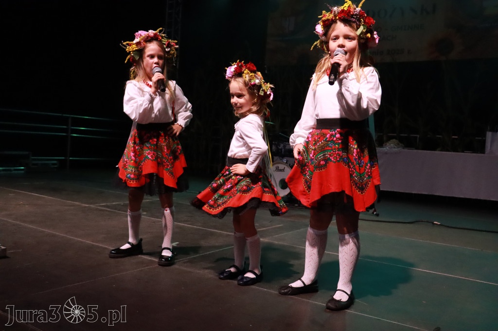 Fotorelacja III: XXVI Dożynki Powiatowo - Gminne w Łazach