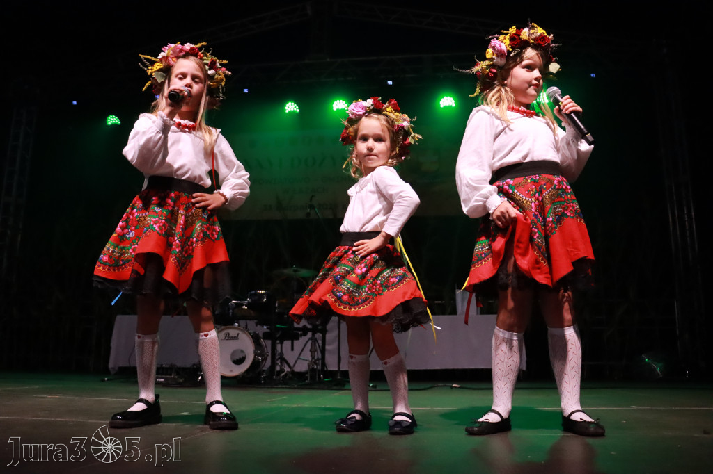 Fotorelacja III: XXVI Dożynki Powiatowo - Gminne w Łazach