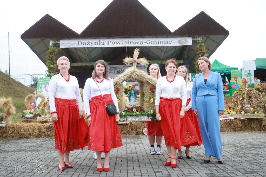 Fotorelacja II: Dożynki Powiatu Myszkowskiego w Niegowie