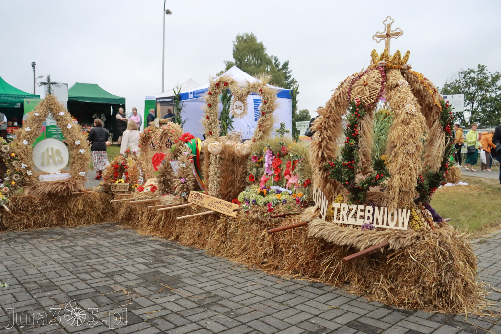 Fotorelacja II: Dożynki Powiatu Myszkowskiego w Niegowie