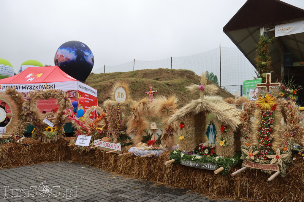 Fotorelacja II: Dożynki Powiatu Myszkowskiego w Niegowie