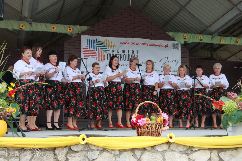 Fotorelacja II: Dożynki Powiatu Myszkowskiego w Niegowie