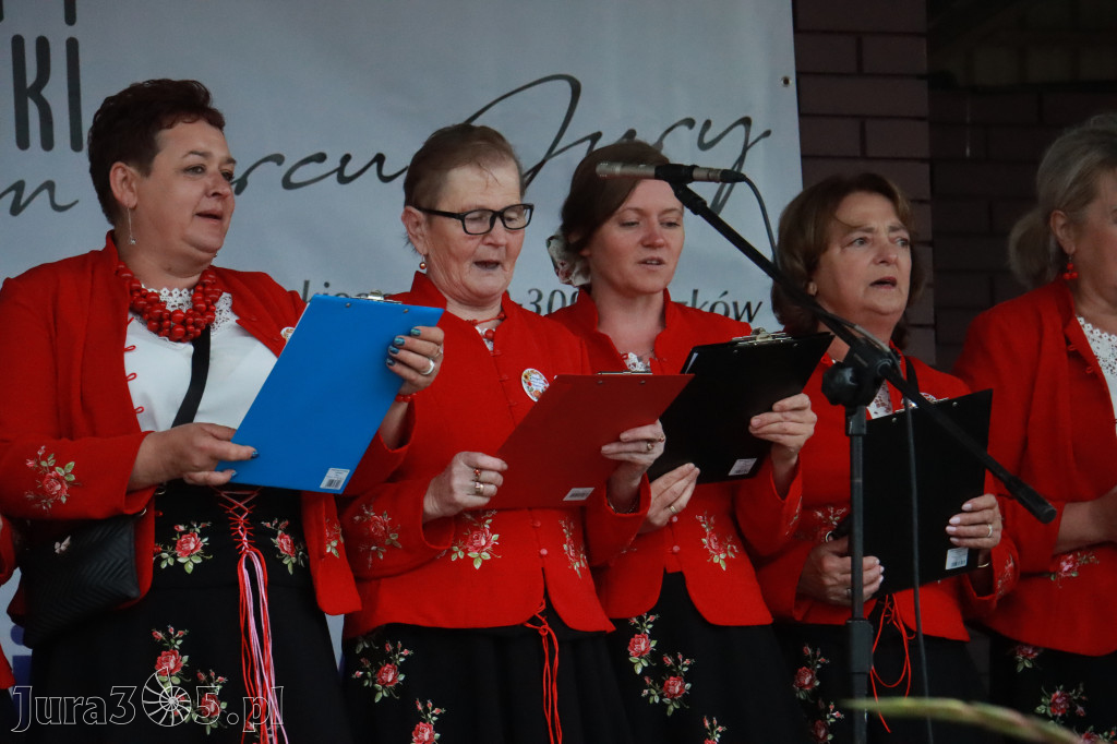 Fotorelacja II: Dożynki Powiatu Myszkowskiego w Niegowie