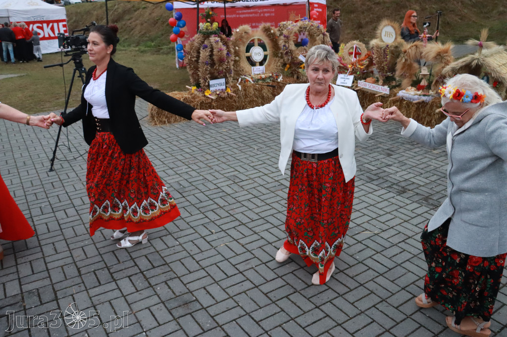 Fotorelacja II: Dożynki Powiatu Myszkowskiego w Niegowie