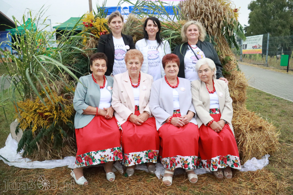 Fotorelacja III: Dożynki Powiatu Myszkowskiego w Niegowie