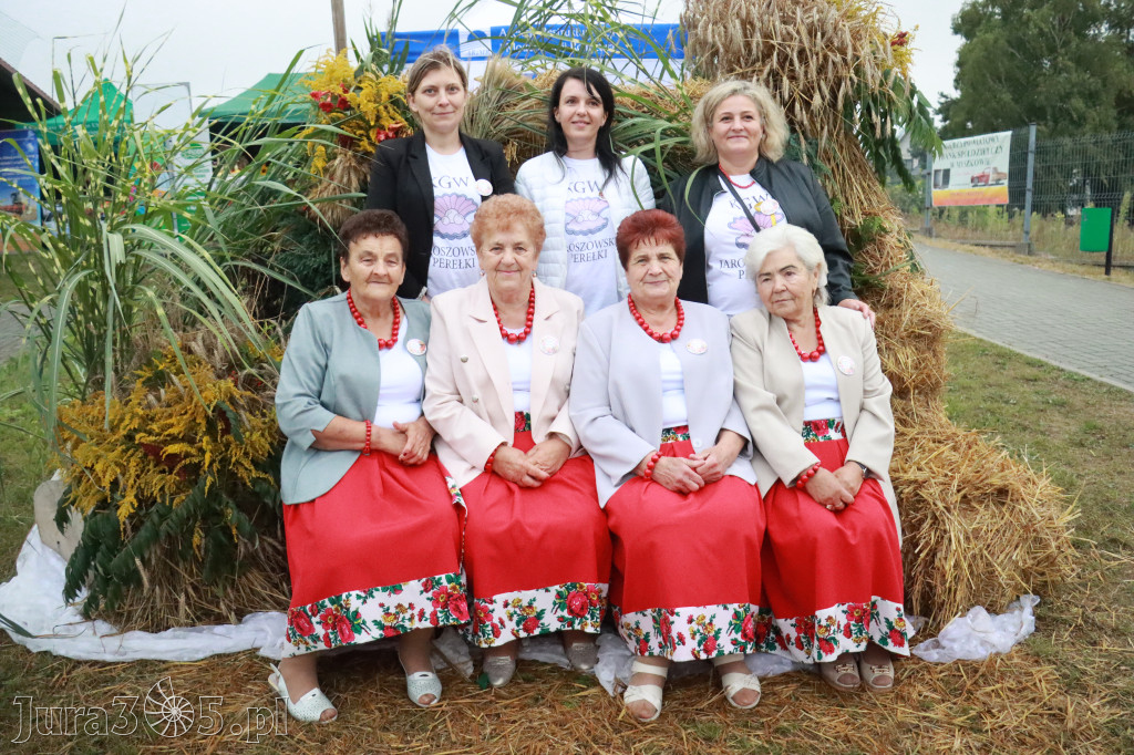 Fotorelacja III: Dożynki Powiatu Myszkowskiego w Niegowie