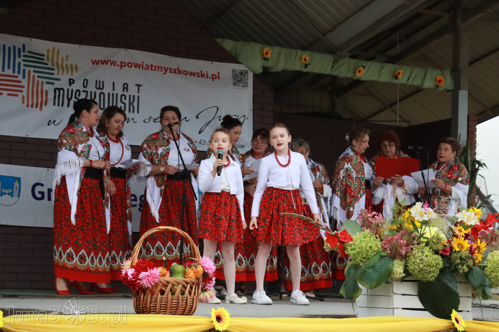Fotorelacja III: Dożynki Powiatu Myszkowskiego w Niegowie
