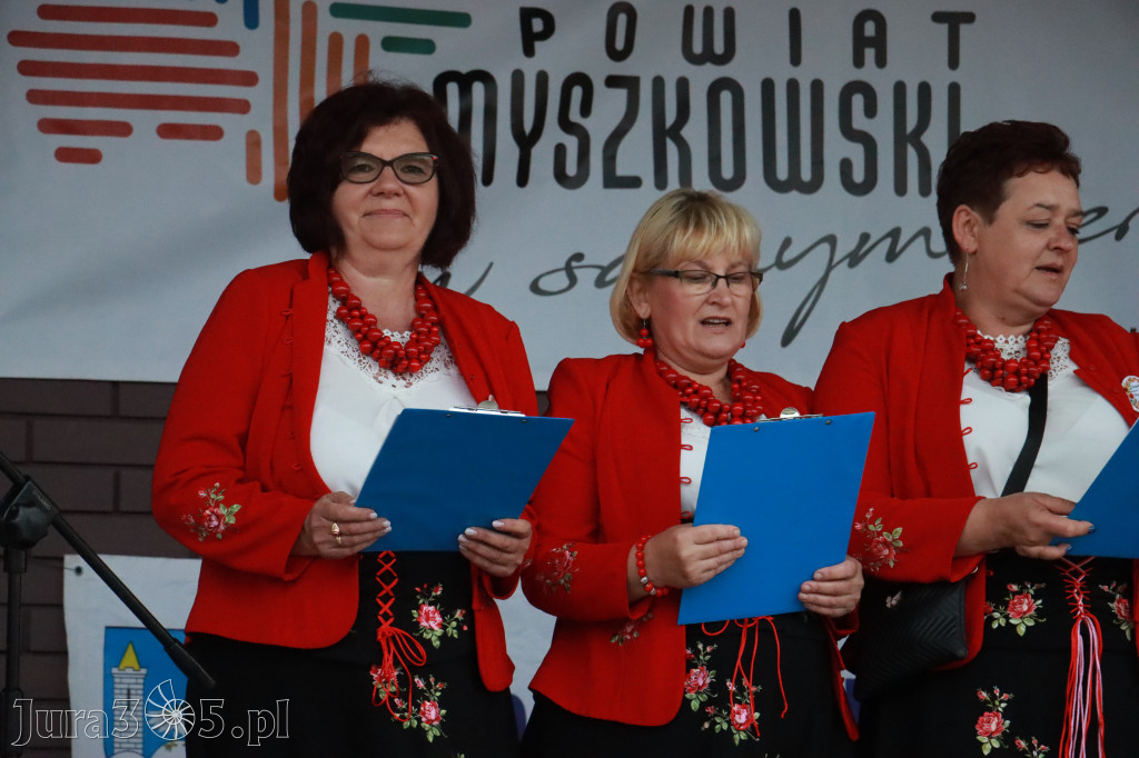 Fotorelacja III: Dożynki Powiatu Myszkowskiego w Niegowie