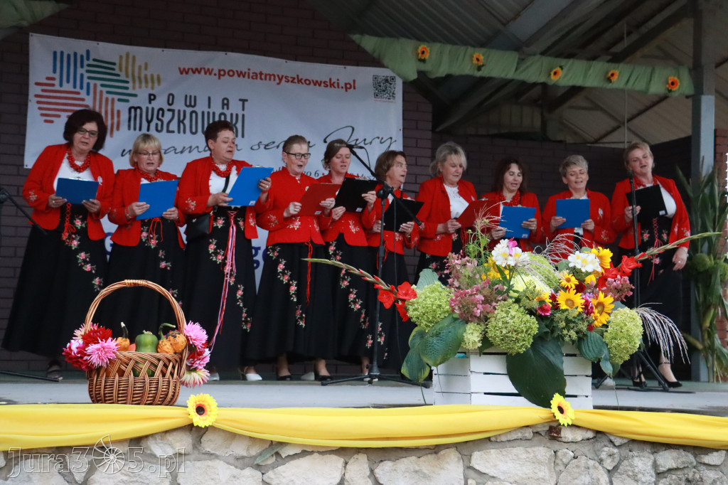 Fotorelacja III: Dożynki Powiatu Myszkowskiego w Niegowie