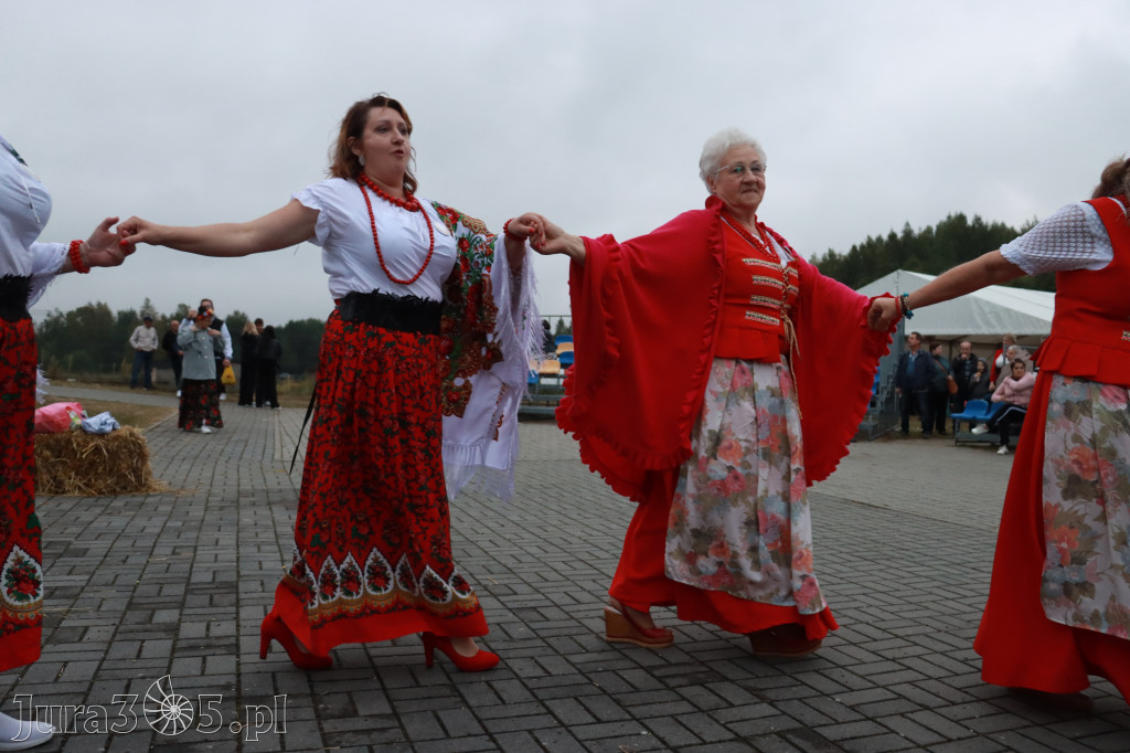 Fotorelacja III: Dożynki Powiatu Myszkowskiego w Niegowie