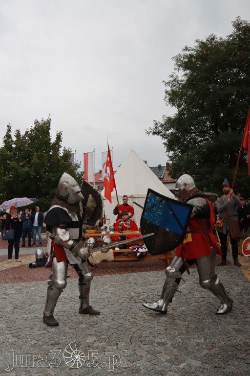 Fotorelacja: Uroczystość Odsłonięcia Pomnika Krystyna I z Koziegłów herbu Lis.