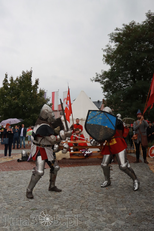 Fotorelacja: Uroczystość Odsłonięcia Pomnika Krystyna I z Koziegłów herbu Lis.