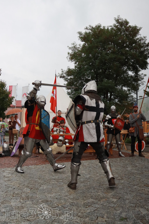 Fotorelacja: Uroczystość Odsłonięcia Pomnika Krystyna I z Koziegłów herbu Lis.