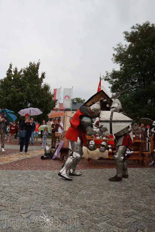 Fotorelacja: Uroczystość Odsłonięcia Pomnika Krystyna I z Koziegłów herbu Lis.