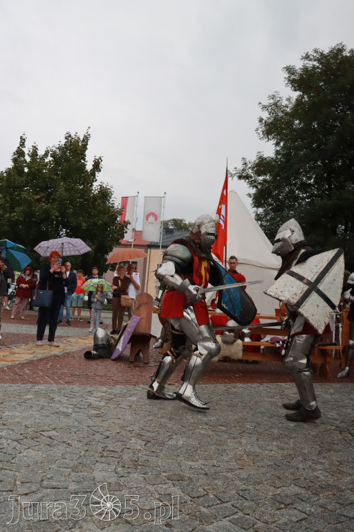 Fotorelacja: Uroczystość Odsłonięcia Pomnika Krystyna I z Koziegłów herbu Lis.