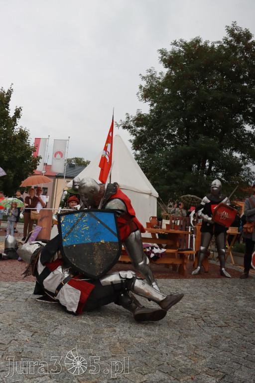 Fotorelacja: Uroczystość Odsłonięcia Pomnika Krystyna I z Koziegłów herbu Lis.