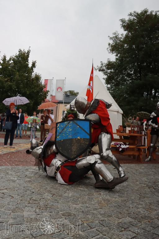 Fotorelacja: Uroczystość Odsłonięcia Pomnika Krystyna I z Koziegłów herbu Lis.