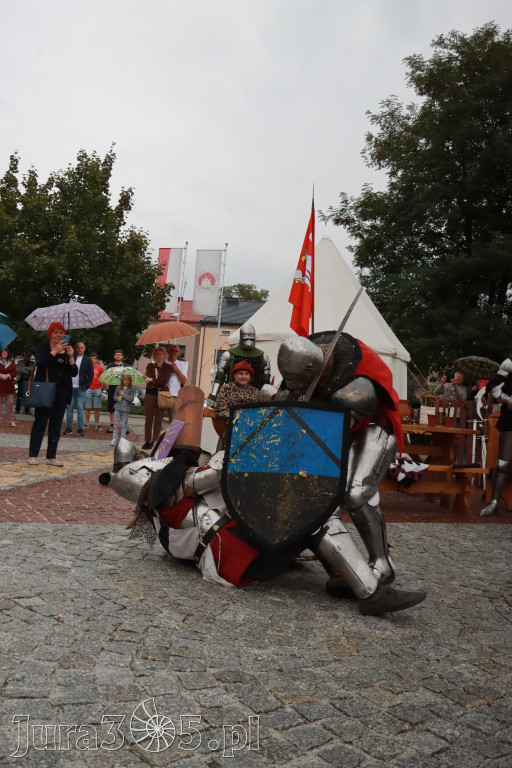 Fotorelacja: Uroczystość Odsłonięcia Pomnika Krystyna I z Koziegłów herbu Lis.