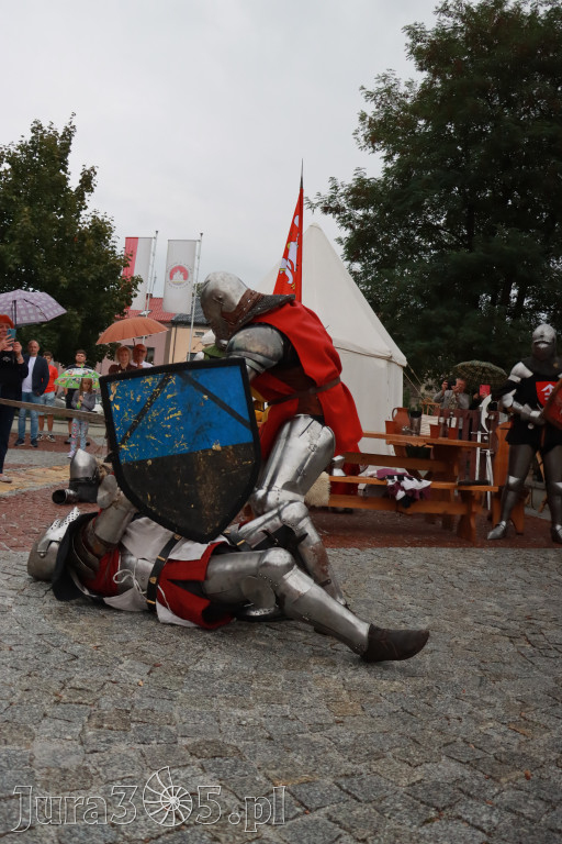 Fotorelacja: Uroczystość Odsłonięcia Pomnika Krystyna I z Koziegłów herbu Lis.