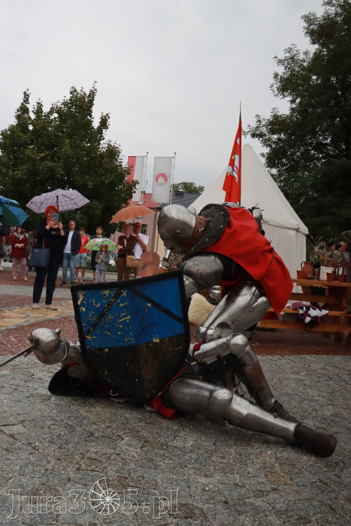 Fotorelacja: Uroczystość Odsłonięcia Pomnika Krystyna I z Koziegłów herbu Lis.