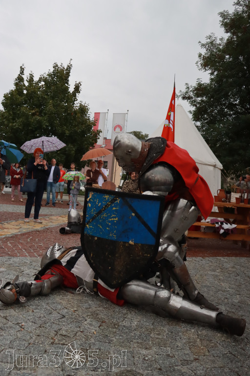 Fotorelacja: Uroczystość Odsłonięcia Pomnika Krystyna I z Koziegłów herbu Lis.