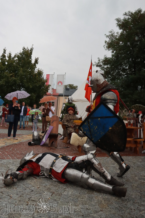 Fotorelacja: Uroczystość Odsłonięcia Pomnika Krystyna I z Koziegłów herbu Lis.