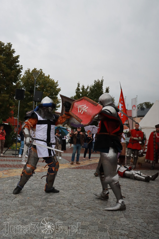 Fotorelacja: Uroczystość Odsłonięcia Pomnika Krystyna I z Koziegłów herbu Lis.
