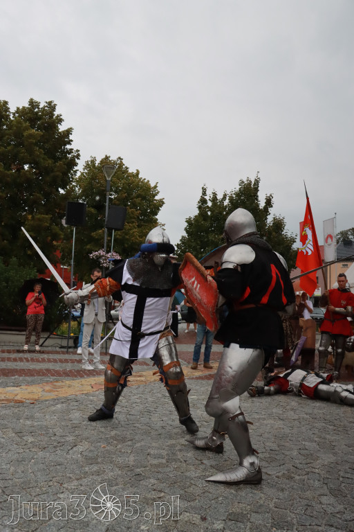 Fotorelacja: Uroczystość Odsłonięcia Pomnika Krystyna I z Koziegłów herbu Lis.