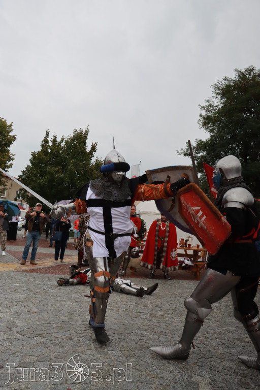 Fotorelacja: Uroczystość Odsłonięcia Pomnika Krystyna I z Koziegłów herbu Lis.