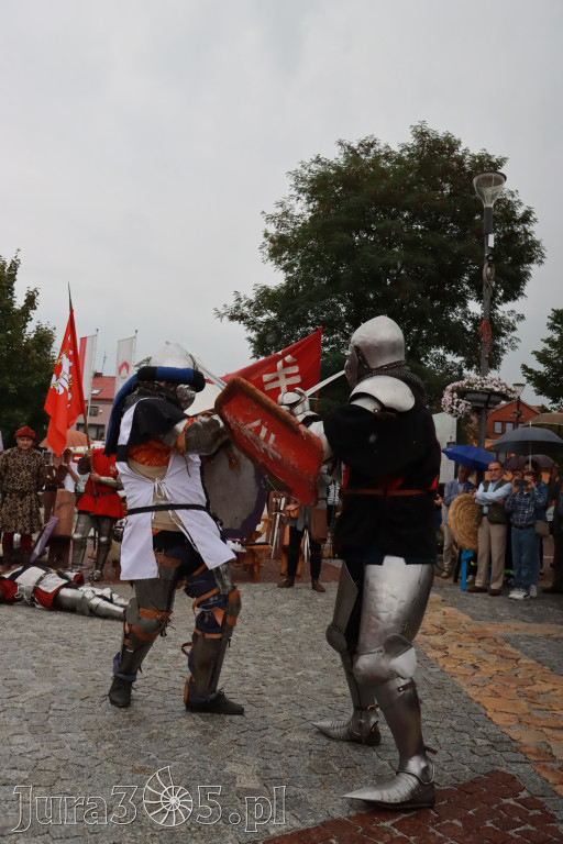 Fotorelacja: Uroczystość Odsłonięcia Pomnika Krystyna I z Koziegłów herbu Lis.