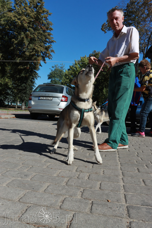 Fotorelacja: Parada psów w Zawierciu