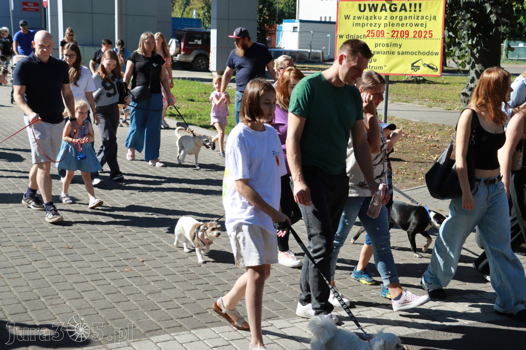 Fotorelacja: Parada psów w Zawierciu
