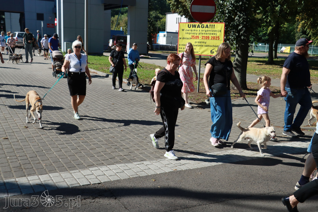 Fotorelacja: Parada psów w Zawierciu