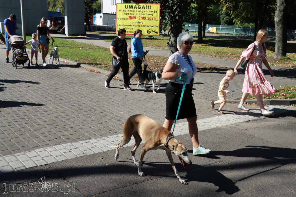 Fotorelacja: Parada psów w Zawierciu