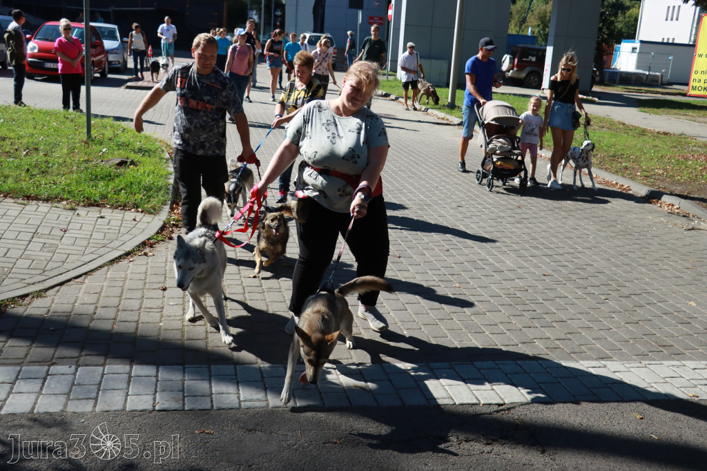 Fotorelacja: Parada psów w Zawierciu