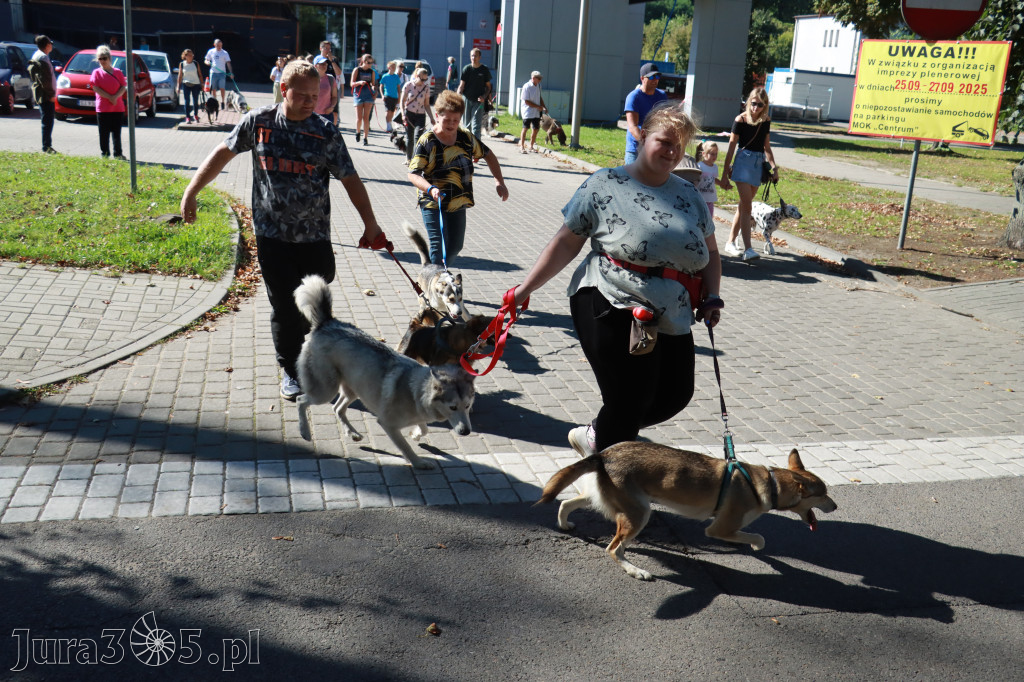 Fotorelacja: Parada psów w Zawierciu