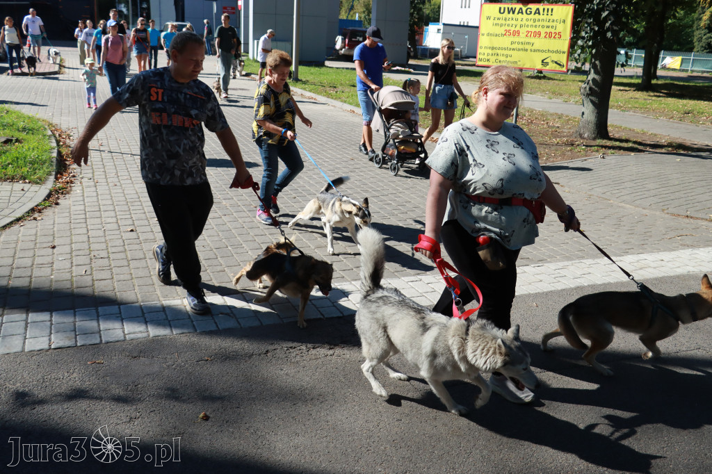 Fotorelacja: Parada psów w Zawierciu