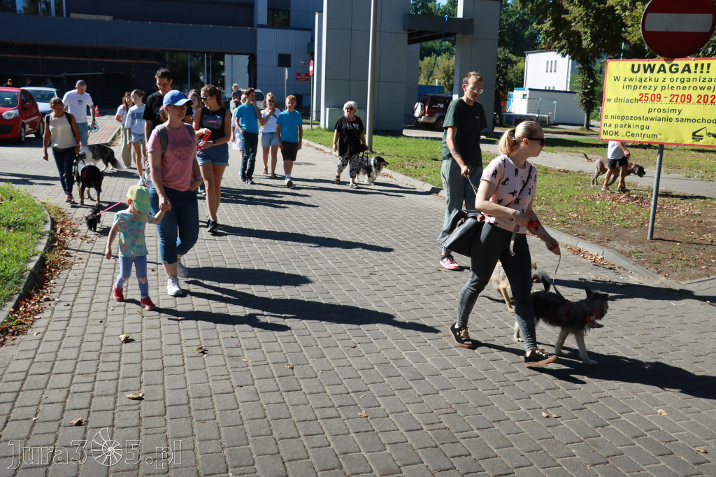 Fotorelacja: Parada psów w Zawierciu