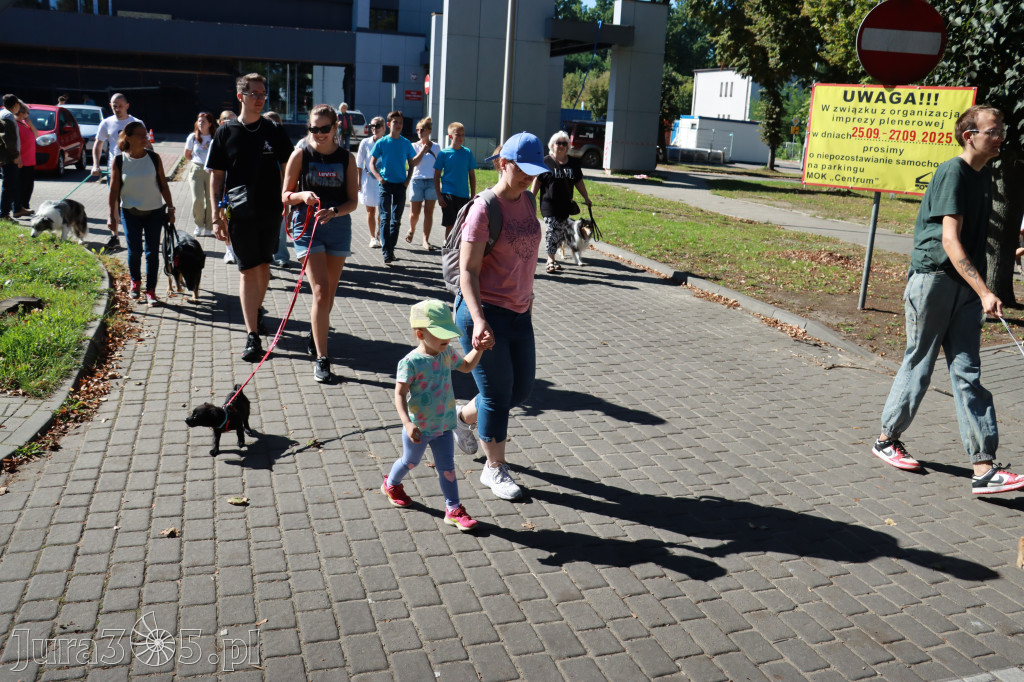 Fotorelacja: Parada psów w Zawierciu