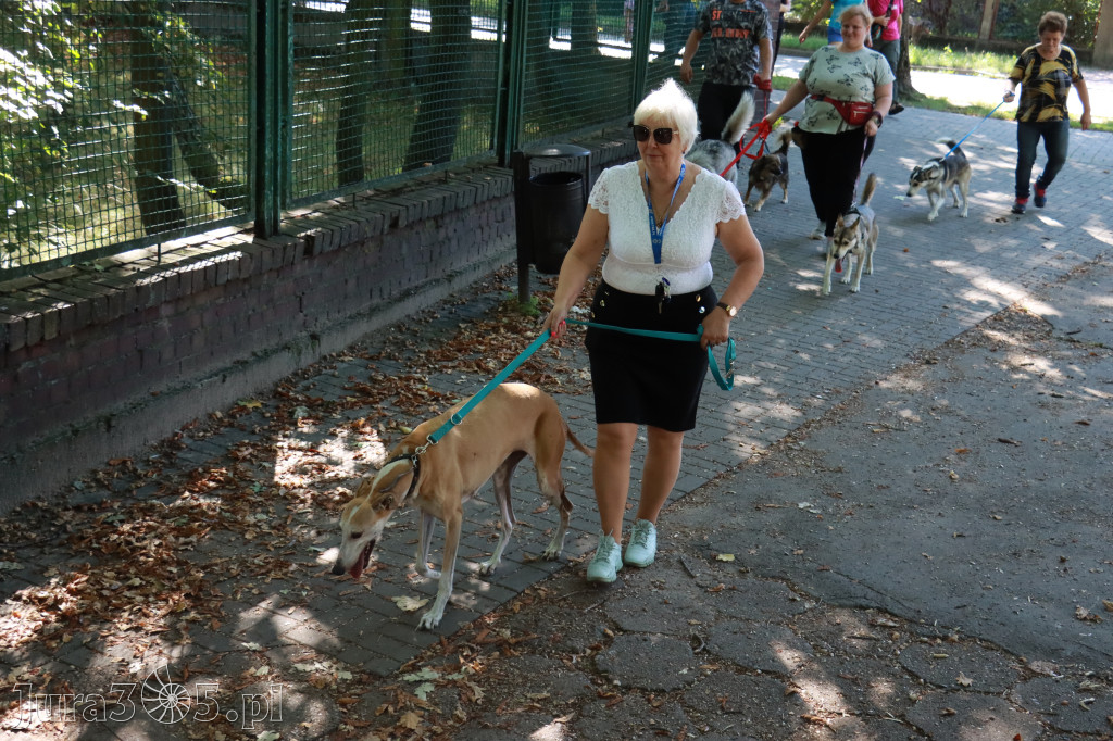 Fotorelacja: Parada psów w Zawierciu