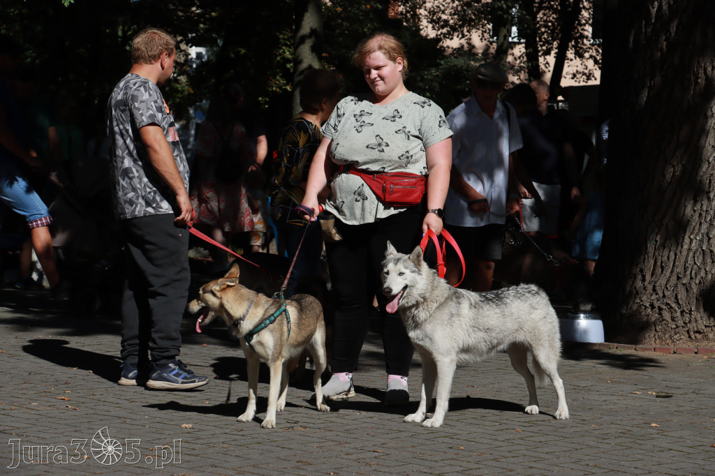 Fotorelacja: Parada psów w Zawierciu